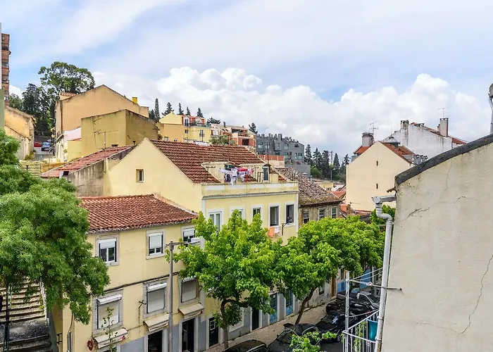 Whome | Campo De Ourique Premium *